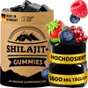 Gumové cukrovinky Shilajit s vysokým obsahom – 1600 mg na Náhľad obrázku produktu 1