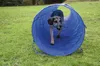 dobar Agility Tunnel 500 cm lang, zusammenfaltbarer Tunnel Produktbild-Vorschau 3