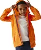 Regatta Pack-it Iii Jacke Orange 9-10 Years Junge Orange Produktbild-Vorschau 4