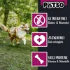 PÄTSO Hunde Snack Trainingssnack, 500g - Huhn + Wild - Soft Produktbild-Vorschau 4