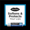 ChapStick Moisturizer SPF 15 Schützender Lippenstift mit Produktbild-Vorschau 3