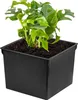 Insert carré interchangeable 17x17 cm noir 3 L pour pots Voir les images du produit 5