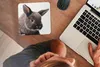 MuchoWow® Mauspad Mousepad Kaninchen - Haustier - Porträt Produktbild-Vorschau 3