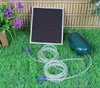 Wehmann Solar Power Doppel Belüfterpumpe 200 l/h Produktbild-Vorschau 1