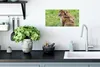 MuchoWow® Poster Affe - Baby - Gras 40x20 cm - Poster für Produktbild-Vorschau 3