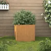 A corten steel planter with a green bush sits on a grassy lawn in front of a wooden fence. Produktbild-Vorschau