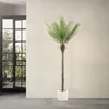 ML-Design Umelá palma 210 cm, tropická umelá palma, umelá Náhľad obrázku produktu 8
