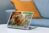 MuchoWow® Laptop Aufkleber Sticker Cover Schottischer Produktbild-Vorschau 4