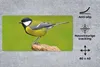 MuchoWow® Schreibtischunterlage Vogel - Kohlmeise - Tiere - Produktbild-Vorschau 2