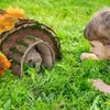 Relaxdays Igelhaus, Holz & Moos, Überwinterung für Igel im Produktbild-Vorschau 3