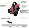 Trixie Julius-K9 Powerharnas, maat 0/M-L: 58-76 cm, zwart Productafbeelding-voorbeeld 2