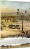 Bilder auf glas - Einteilig - Safari Tiere - 70x100cm - Produktbild-Vorschau 1