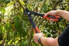 Troncarami BLACK+DECKER 38,1 x 17,8 x 3 CM 560 G Anteprima dell’immagine prodotto 8