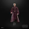 A Star Wars action figure of Padmé Amidala standing against a black background. Náhled obrázku produktu