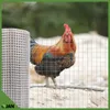 Volierendraht - 19x19x1,4mm - 5m² - Leicht - Produktbild-Vorschau 7