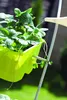 CROWN DCRO240 Geländer-Blumentopf | Weiß Produktbild-Vorschau 8