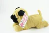 A plush toy pug lying down on a white background. Produktbild-Vorschau