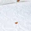 ele ELEOPTION 160 x200 cm Voděodolný chránič matrace, Náhled obrázku produktu 5