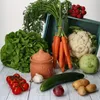 Terra hrnec na česnek s víkem Ø 12,8 cm z terakotové hlíny Náhled obrázku produktu 3