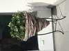 Pflanzschale mit Metallständer - Gartenfigur Produktbild-Vorschau 1