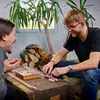 ideen.kollektiv Piglet race - stolová hra hra s kockami Náhľad obrázku produktu 5