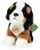 Plüsch Berner Sennenhund 18 cm Umweltfreundlich Produktbild-Vorschau 2