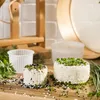 Two rounds of cheese are displayed on a wooden board, sprinkled with herbs and seeds. Cheese molds are visible in the background. Produktbild-Vorschau