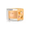 Yankee Candle Mango Ice Cream Glasvotivkerze 37g Produktbild-Vorschau 2