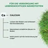 Allflor Rasenkalk, fein gekörnt, 20kg, mineralischer Kalk Produktbild-Vorschau 6