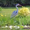2161969 Gartenfigur Fischreiher Produktbild-Vorschau 8