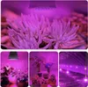 Collage of images showing LED grow lights illuminating various plants and a greenhouse. Anteprima dell’immagine prodotto