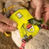 Ruffwear Hi & Light™ Hundegeschirr Produktbild-Vorschau 12
