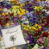 Pusteblume Kissen mit Spruch Auszeit Produktbild-Vorschau 5