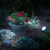 A garden scene at night, illuminated by solar lights, featuring a potted plant with red flowers and a rock-shaped solar light. Anteprima dell’immagine prodotto