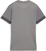 Puma Teamgoal Trikot Kurzarm Damen - Grau Produktbild-Vorschau 2