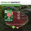 Wassermelonen Sugar Baby Samen - Citrullus lanatus - Produktbild-Vorschau 8