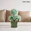 A decorative plant in a ceramic pot sits on a white table in front of a couch with pillows. Náhled obrázku produktu