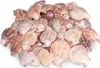 Pecten nobilis 0,5 kg 5-8 cm ca. 30-40 Stück Kammmuscheln Produktbild-Vorschau 1
