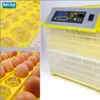 Inkubátor automatický líheň klujnik líheň drůbeže chov 112 Náhled obrázku produktu 10