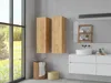 PLATAN ROOM Hängeschrank 105 Wohnzimmer Badezimmerschrank Produktbild-Vorschau 1