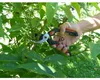 Garten PRIMUS Herren-Gartenschere Länge: 205 mm Produktbild-Vorschau 6