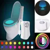 LED-Toilettenlicht mit Licht- & Bewegungs-Sensor, 2 Modi, 8 Produktbild-Vorschau 2