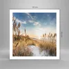 Poster - Poster ohne Rahmen - Ähren Küste Sonne - 60x60 cm Produktbild-Vorschau 4