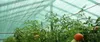 SCHATTIERNETZ ANTHRAZIT 2M x 25 M, 90 % SCHATTEN Anteprima dell’immagine prodotto 8