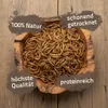 Mehlwürmer getrocknet Produktbild-Vorschau
