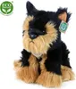 RAPPA Plyšový pes Yorkshire Terrier 30 cm ECO-FRIENDLY Náhľad obrázku produktu 4