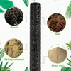 Soportes para plantas tipo musgo - Extensibles hasta 150 cm Vista previa de la imagen del producto 4