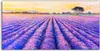 Coloray Acrylbild 100x50  Wandbild Acrylbilder Deko Produktbild-Vorschau 1