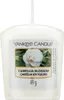 Camellia Blossom - candela votiva 49g - Yankee Candle® Anteprima dell’immagine prodotto 3
