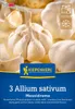 Artikelbild 2 von 'Knoblauch Messidrome (3 Stück)' aus der Kategorie Winterpflanzknoblauch Produktbild-Vorschau